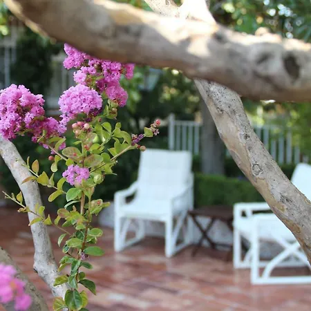 El jardín de la abuela-2